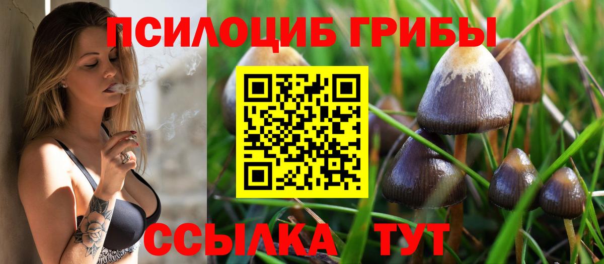 Псилоцибиновые грибы Magic Shrooms  Вход с VPN  Орехово-Зуево 